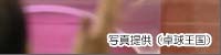 �n�Ԃ����S�����Ō����i�o