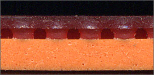 DY-6(粒の特徴)