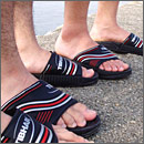 Summer�T���_�� [�Ƃ��Ă�������]