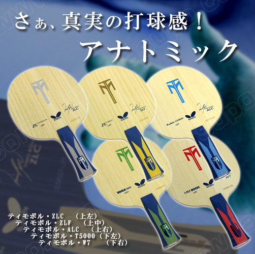 Butterfly [�e�B���{���E�u���[�h�E�V���[�Y�i�A�i�g�~�b�N�j]